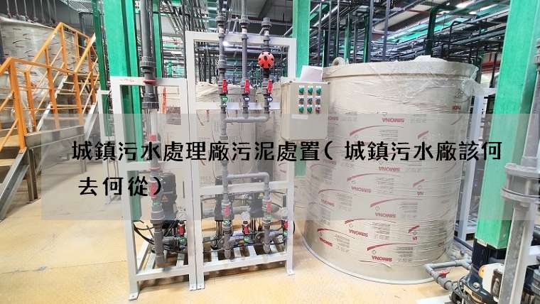 城鎮污水處理廠污泥處置(城鎮污水廠該何去何從)